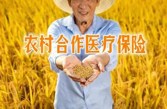 农村合作医疗最多能报销多少?农村合作医疗报销到账要多久?