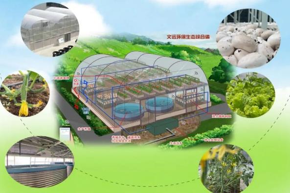 2023年浙江省农村生活污水处理设施管理条例最新