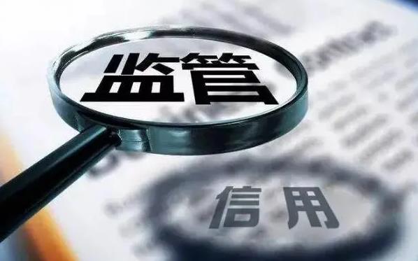 公司监督管理