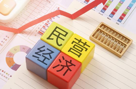 促进民营经济发展